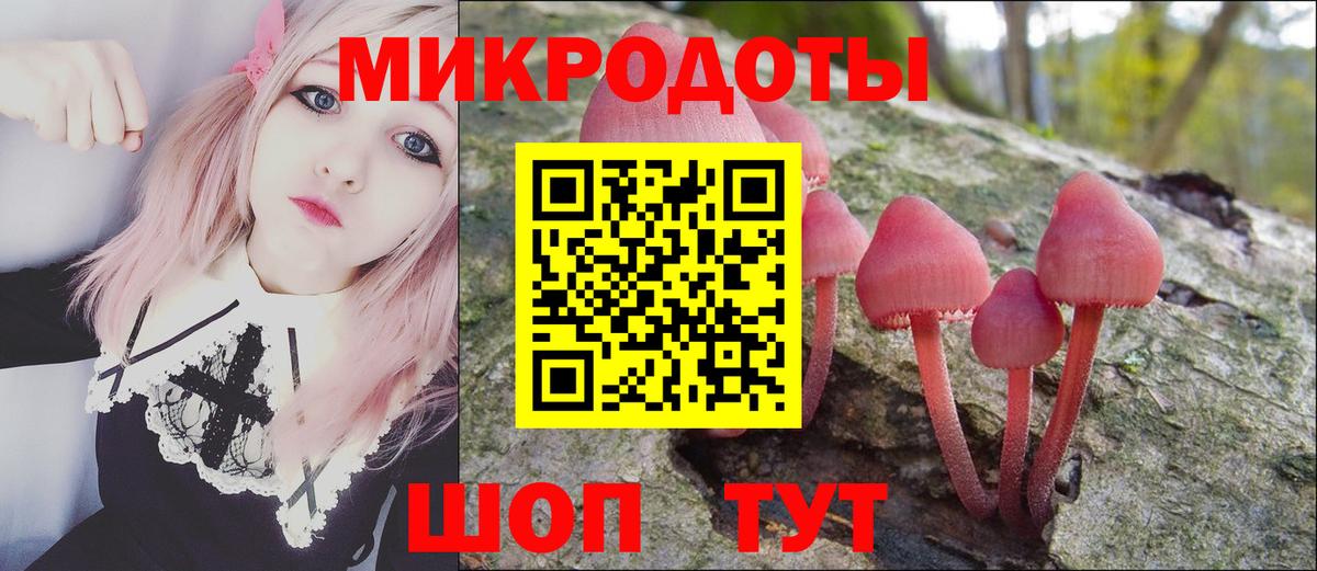 Чита  Псилоцибиновые грибы мицелий  Вход с VPN 