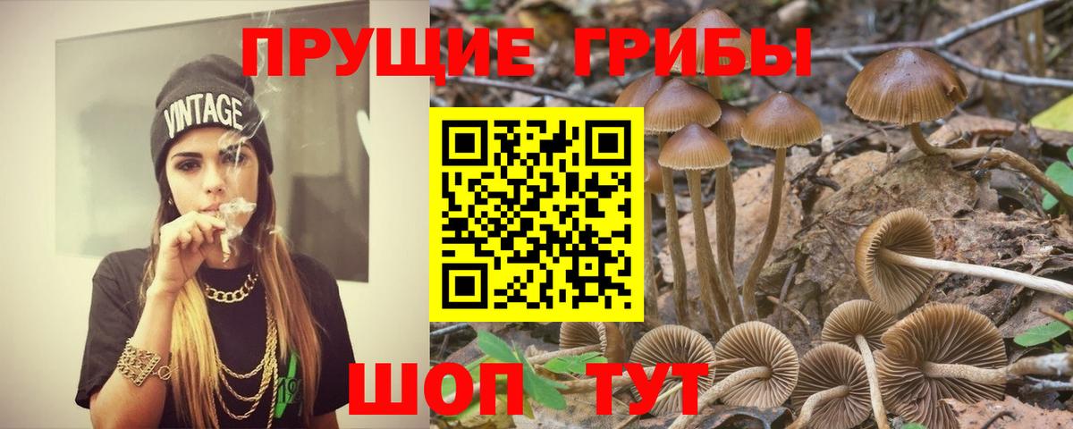 Псилоцибиновые грибы прущие грибы Чита